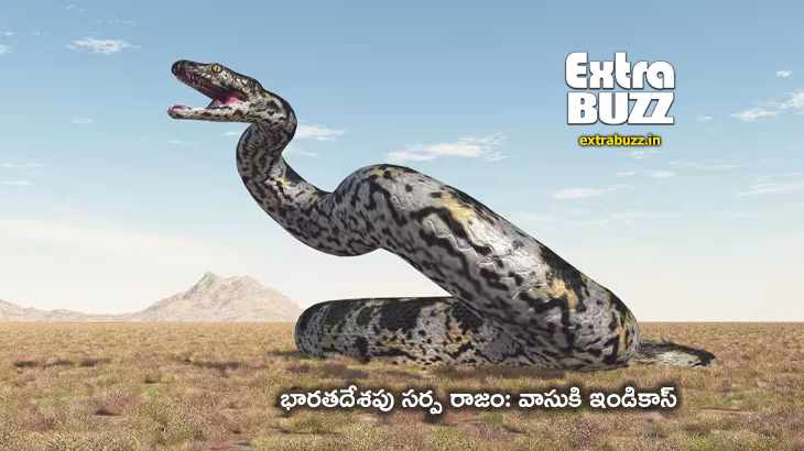 వాసుకి ఇండికాస్ : నాలుగున్నర కోట్ల ఏళ్ల నాటి శిలాజ సత్యం